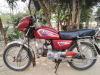 Dayng 80cc